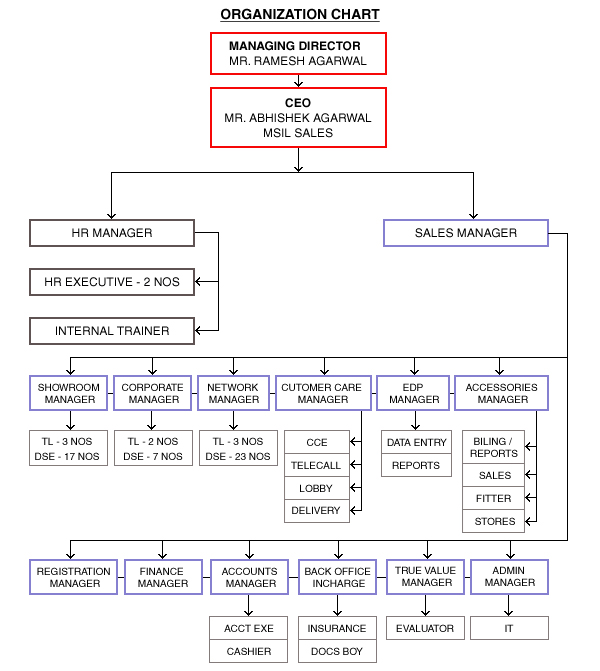 organization-and-structure-premier-carworld